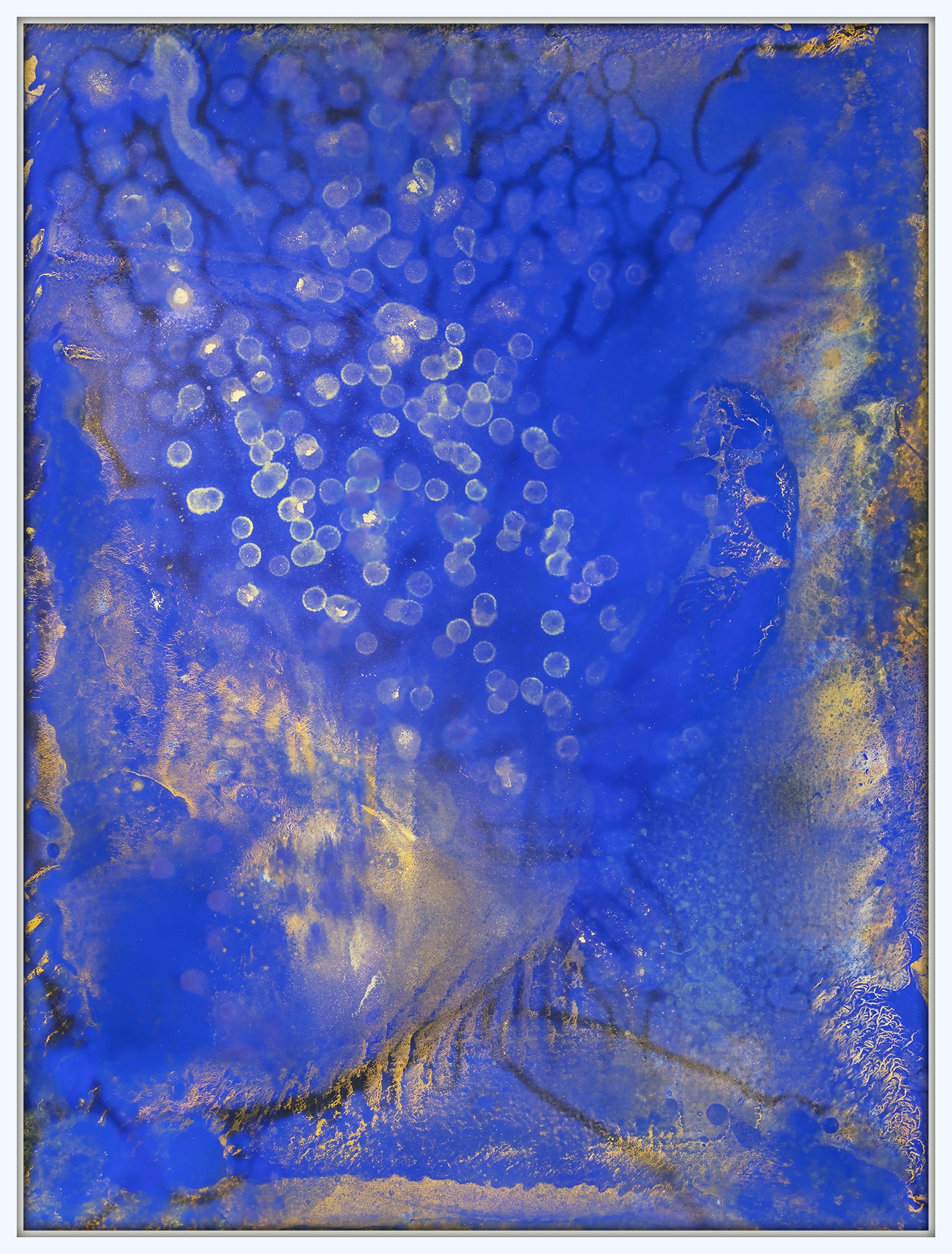 Fireflies | Giclee Print on Gallery-Wrapped Stretched Canvas | w White Floating Frame