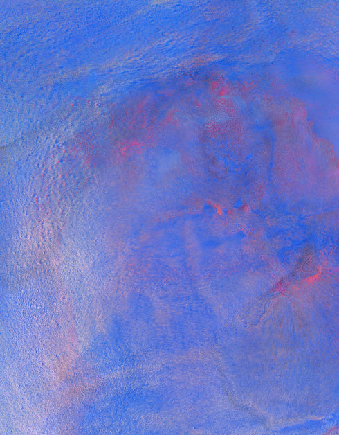 CROWN ROYAL | framed giclee on canvas print