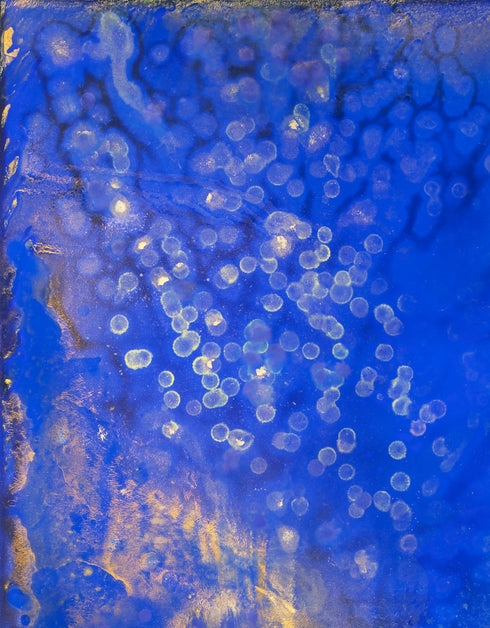 FIREFLIES | framed giclee on canvas print