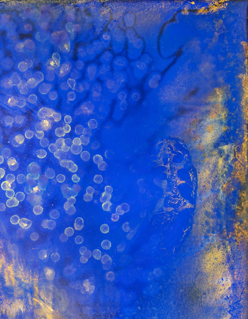 FIREFLIES | framed giclee on canvas print