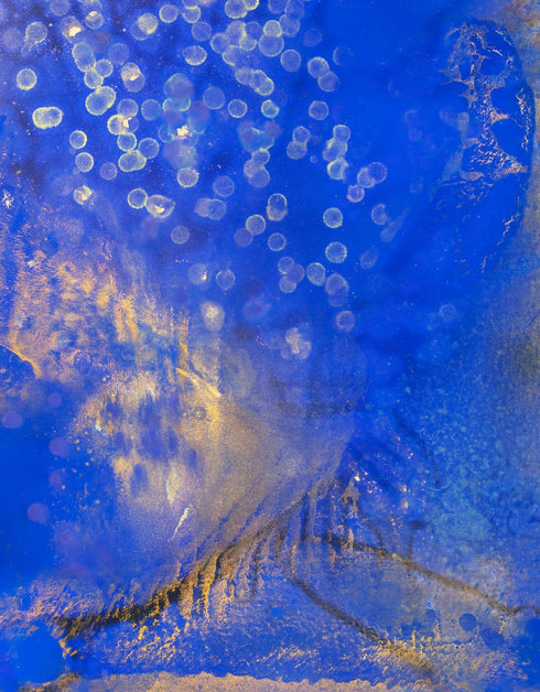 Fireflies is a Giclee on Canvas Print by Seth B. Minkin, with enchanting fireflies glowing against a dark background, reflecting a whimsical and warm atmosphere.