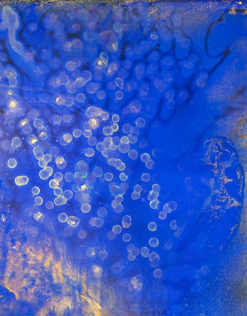 Fireflies is a Limited Edition Print by Seth B. Minkin, with enchanting fireflies glowing against a dark background, reflecting a whimsical and warm atmosphere.