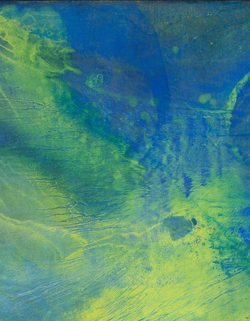 GREEN MACHINE | framed giclee on canvas print