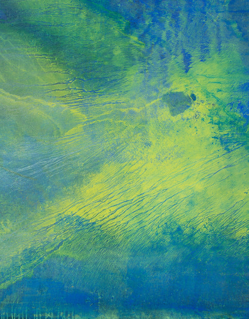 GREEN MACHINE | framed giclee on canvas print