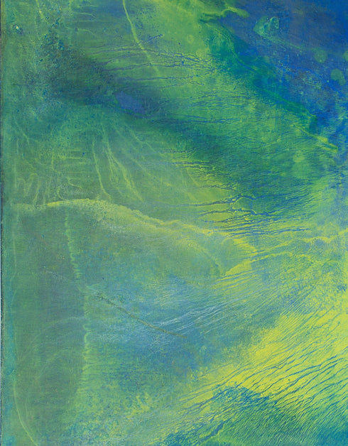 GREEN MACHINE | framed giclee on canvas print