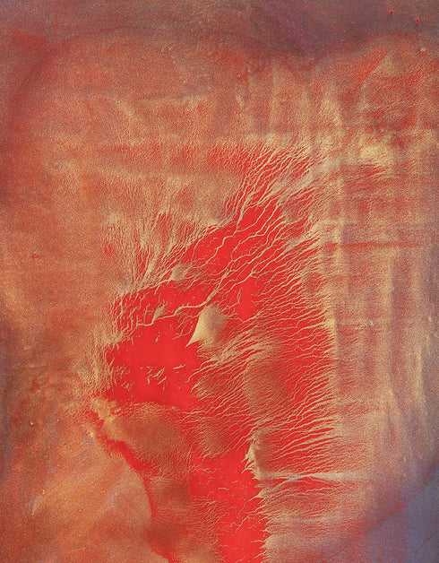 HEARTS ON FIRE | framed giclee on canvas print