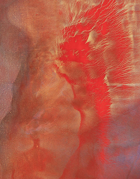 HEARTS ON FIRE | framed giclee on canvas print