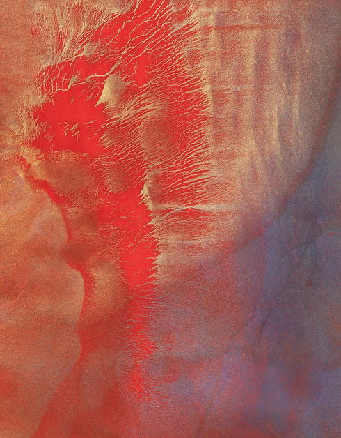 HEARTS ON FIRE | framed giclee on canvas print