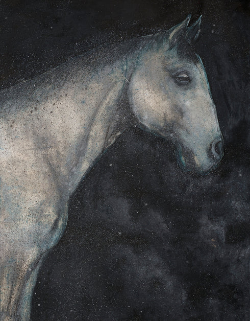 HORSE | framed giclee on canvas print