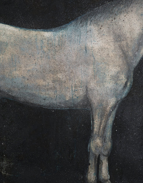 HORSE | framed giclee on canvas print