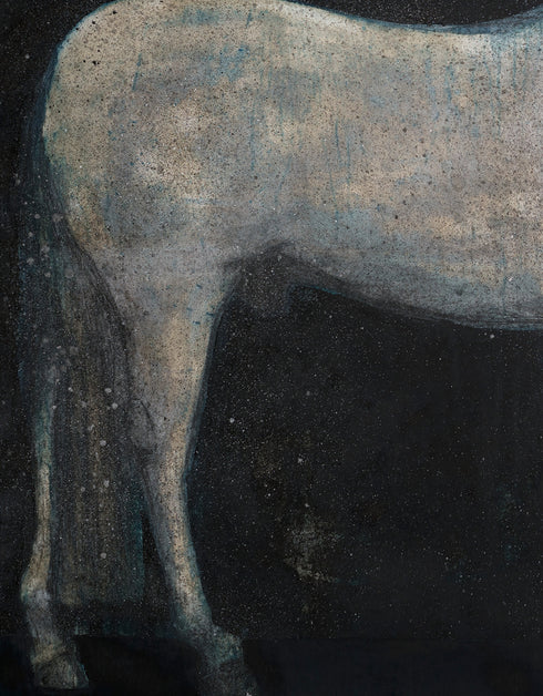 HORSE | framed giclee on canvas print