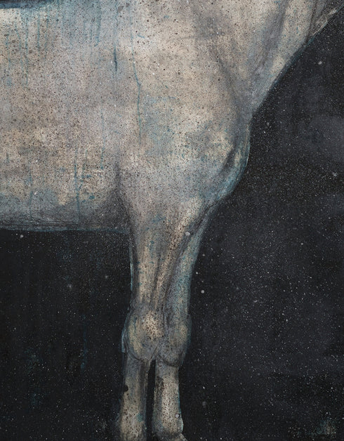 HORSE | framed giclee on canvas print