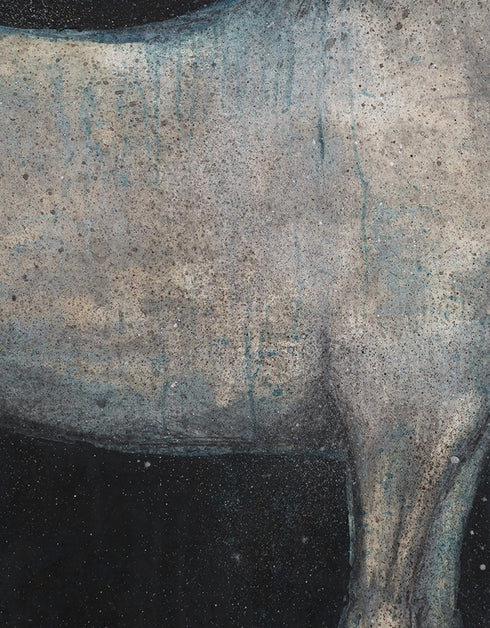 HORSE | framed giclee on canvas print