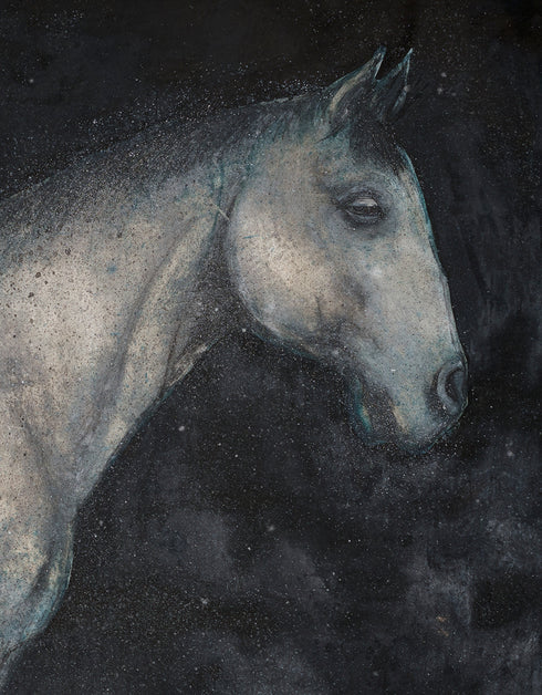 HORSE | limited edition print