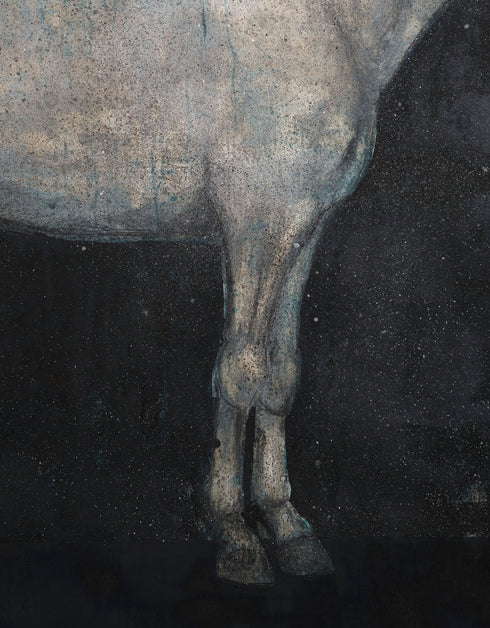 HORSE | limited edition print