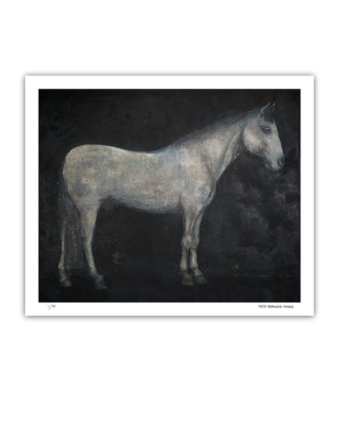 HORSE | limited edition print