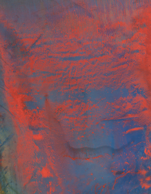 OPUS | framed giclee on canvas print