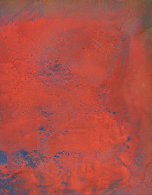 OPUS | framed giclee on canvas print