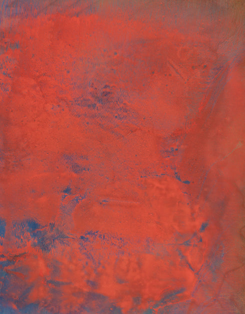 OPUS | framed giclee on canvas print