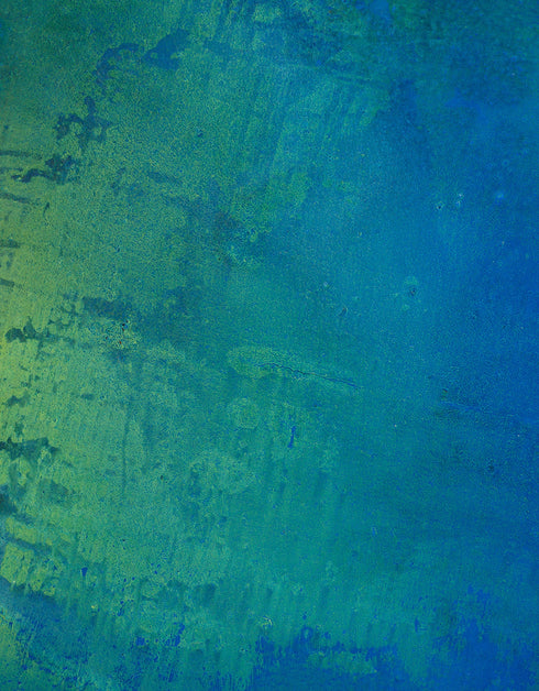 PHOTOSYNTHESIS | framed giclee on canvas print