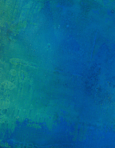 PHOTOSYNTHESIS | framed giclee on canvas print