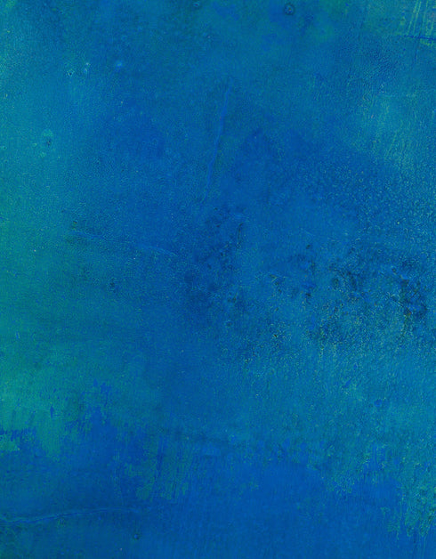 PHOTOSYNTHESIS | framed giclee on canvas print