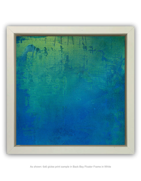 PHOTOSYNTHESIS | framed giclee on canvas print