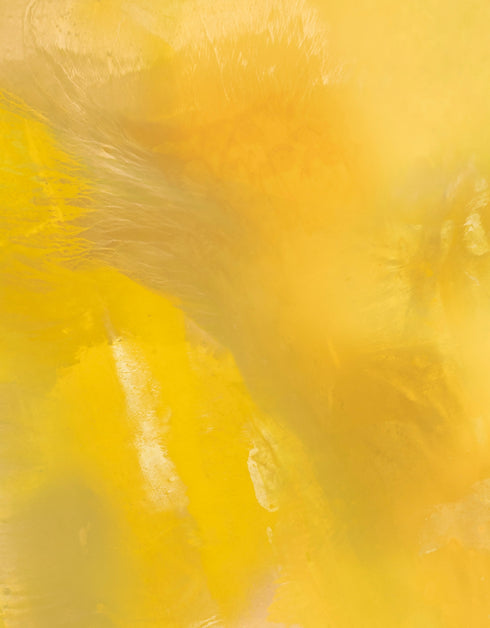 SCREAMING YELLOW ZONKER | framed giclee on canvas print