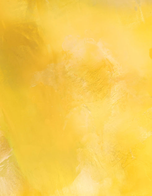 SCREAMING YELLOW ZONKER | framed giclee on canvas print