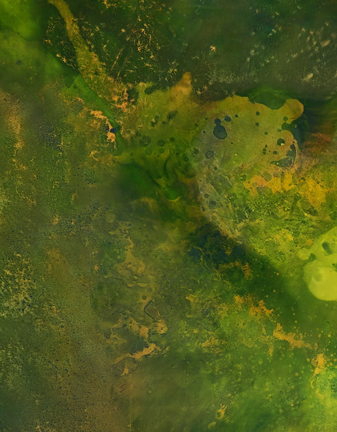 SUBSTRATA | framed giclee on canvas print