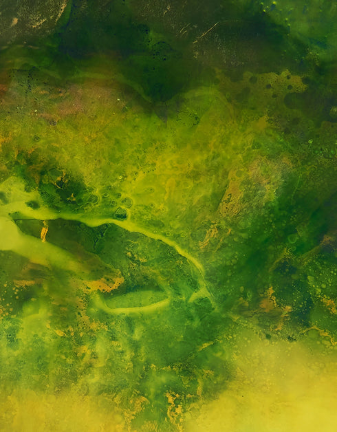 SUBSTRATA | framed giclee on canvas print