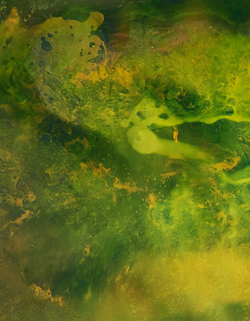 SUBSTRATA | framed giclee on canvas print