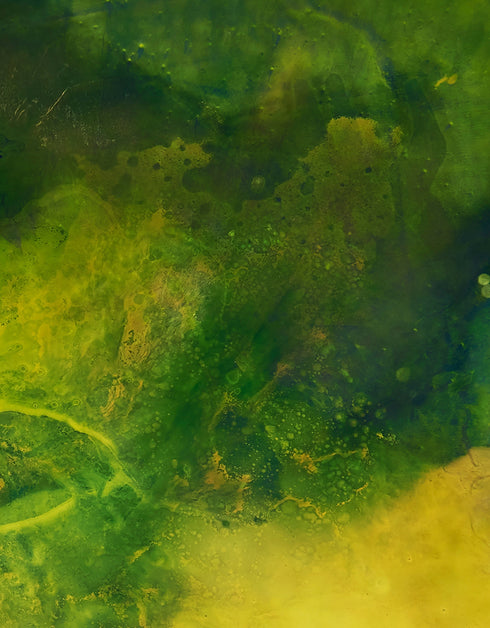 SUBSTRATA | framed giclee on canvas print