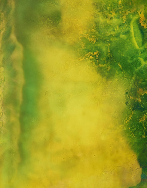 Substrata is a Giclee on Canvas Print by Seth B. Minkin, with rich browns, ochres, and metallic highlights, capturing the earth's layered textures and natural beauty.