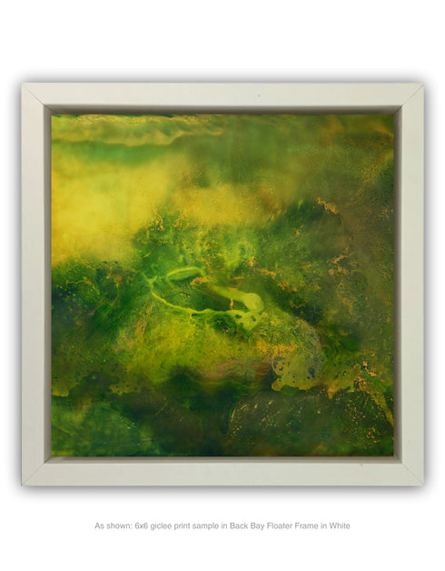 SUBSTRATA | framed giclee on canvas print