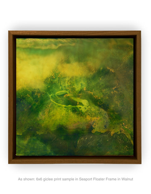 SUBSTRATA | framed giclee on canvas print