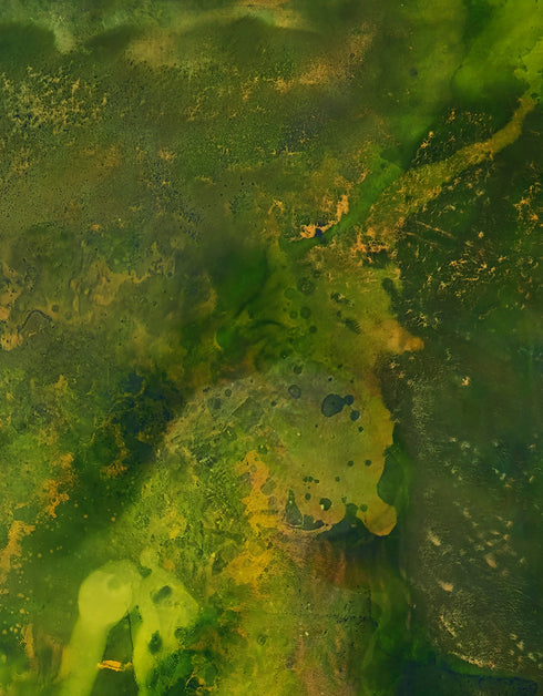 Substrata is a Limited Edition Print by Seth B. Minkin, with rich browns, ochres, and metallic highlights, capturing the earth's layered textures and natural beauty.