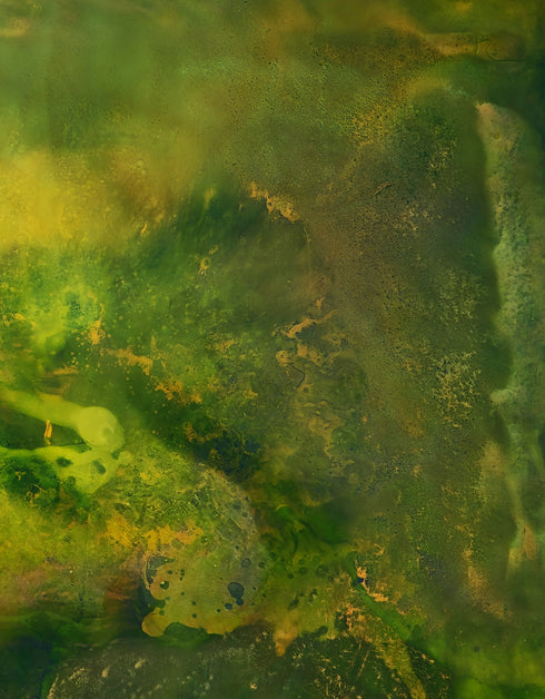 48"x60" painting with earthy tones and vibrant gold, depicting life's layered complexity and growth beneath the surface.