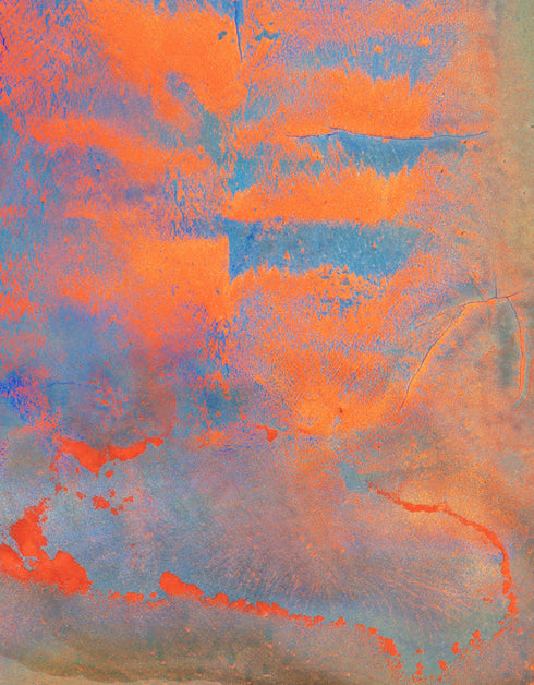 The Four Elements is a Limited Edition Print by Seth B. Minkin, with distinct colors and textures of earth, water, fire, and air, representing elemental forces.