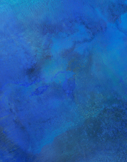 TRUE BLUE | framed giclee on canvas print