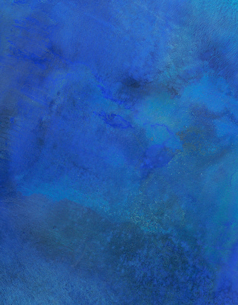 TRUE BLUE | framed giclee on canvas print