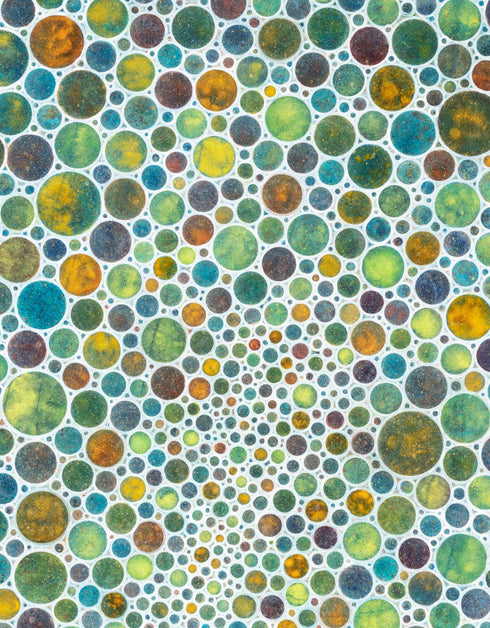 WHITE CIRCLES | framed giclee on canvas print