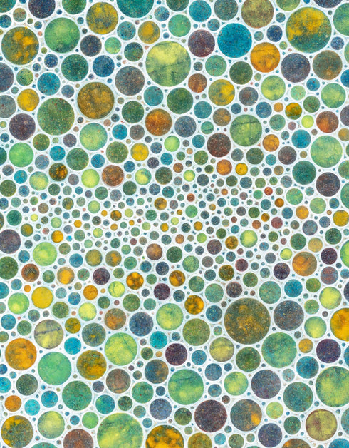 WHITE CIRCLES | framed giclee on canvas print