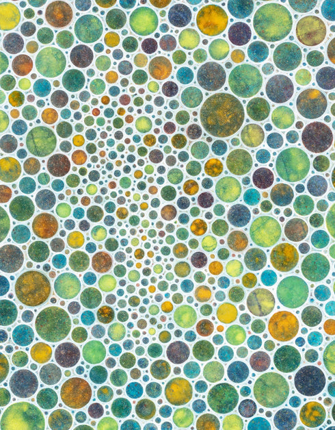 WHITE CIRCLES | framed giclee on canvas print