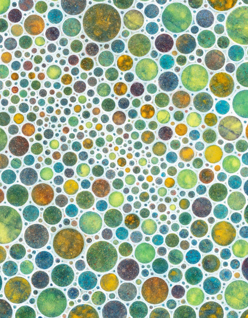 White Circles is a Giclee on Canvas Print by Seth B. Minkin, with minimalist design and intricate textures, showcasing elegant white tones and modern aesthetic.