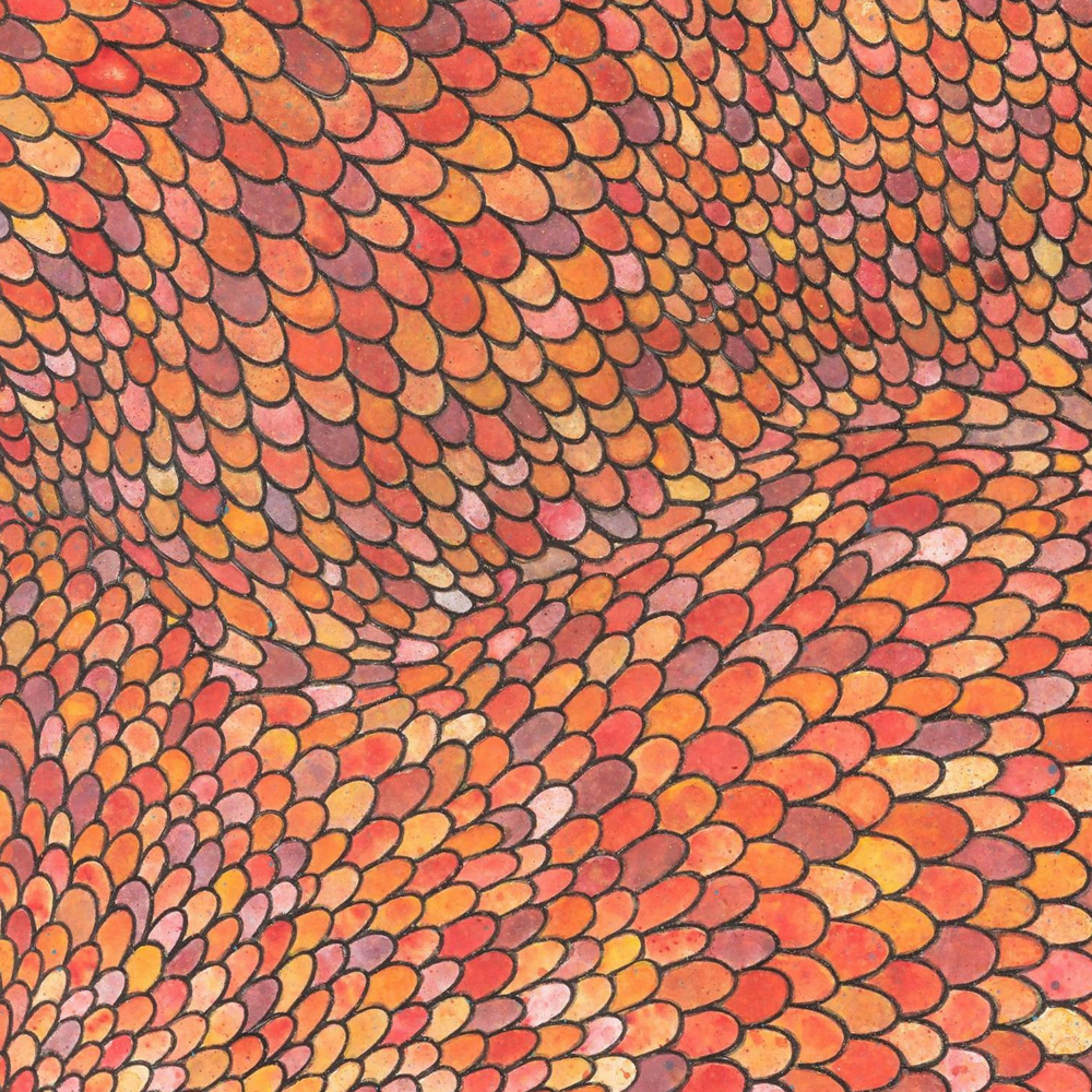 Red Scales limited edition print by Seth B. Minkin