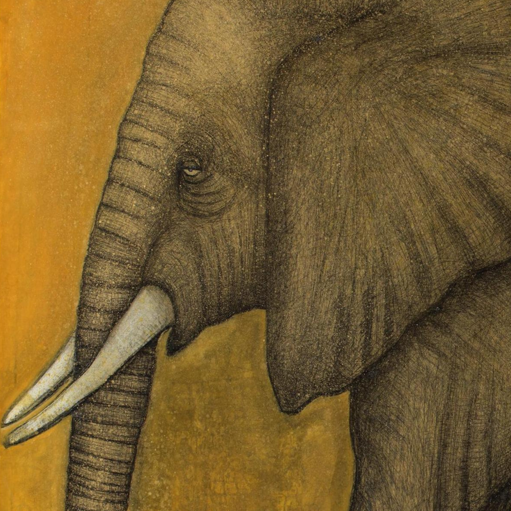 Elephant limited edition print by Seth B. Minkin